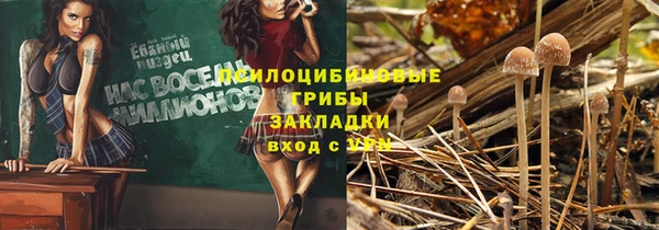 соль ск Алексеевка