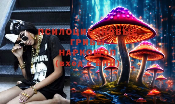 соль ск Алексеевка
