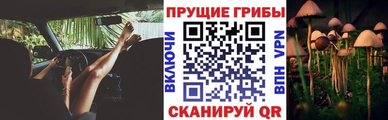 Купить  Чебоксары  Галлюциногенные грибы GOLDEN TEACHER 